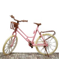 Bicicleta pentru papusi