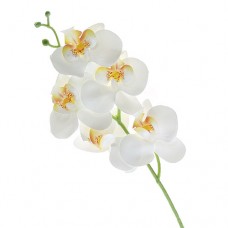 Flori Artificiale Orhidee 5 Flori Alb Flori Artificiale Orhidee 5 Flori Alb