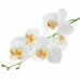 Flori Artificiale Orhidee 5 Flori Alb Flori Artificiale Orhidee 5 Flori Alb