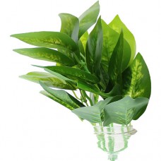 Buchet Frunze Verde Buchet Frunze Verde